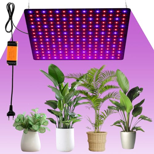Fyeme Grow Light LED Pflanzenlampe 1000W Pflanzenlampe Led Vollspektrum Wachstumslampen mit Haken für Pflanzen für Zimmerpflanzen Gemüse Blume (rot+blau) von Fyeme