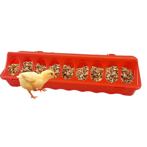 Fyrdyn Hühnerfutterautomat - Geflügel Fütterungsschale Mit Lochsystem - Futterschale Mit Löchern Für Geflügelhaltung Tauben Wachteln Vögel Außen- Und Innenbereich von Fyrdyn