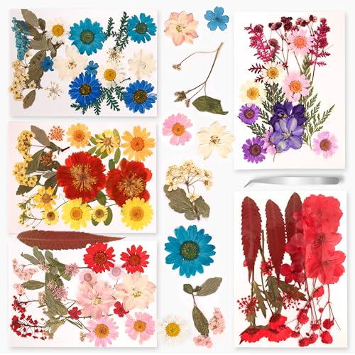 Fyshird 5 Packungen Natürliche Getrocknete Blüten Gemischte Gepresste Blumen Trockenblumen zum Basteln Klein mit Pinzette Getrocknete Blumen für DIY Kerze Scrapbook Karten Schmuck Epoxidharz Zubehör von Fyshird