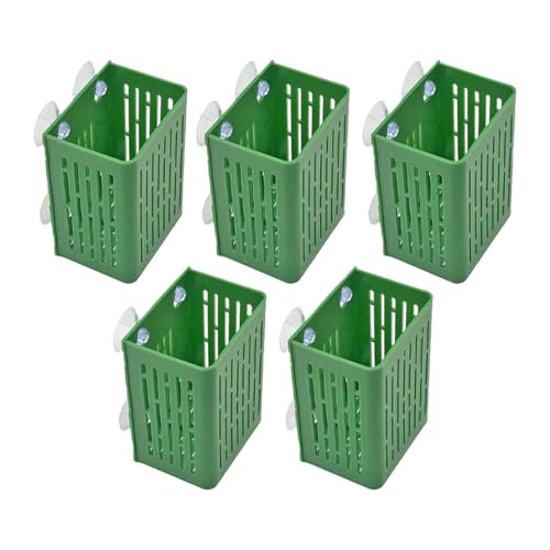 FytStycale 5 Stück Pflanzenhalter für Aquarien, Tassen Und Töpfe mit Saugnapf Zur Montage, GrÜn FytStycale 5 Stück Pflanzenhalter für Aquarien, Tassen Und Töpfe mit Saugnapf Zur Montage, GrÜn von FytStycale
