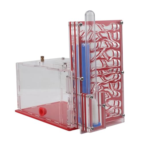 FytStycale Klare Ameisenbehausung Aus Acryl mit Futterzone Und Belüftung für Bildung Und Hobby, Rot FytStycale Klare Ameisenbehausung Aus Acryl mit Futterzone Und Belüftung für Bildung Und Hobby, Rot von FytStycale