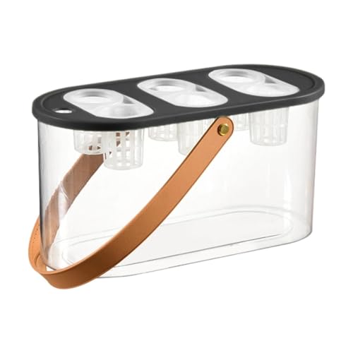 FytStycale Mini Aquarium System für Pflanzenanbau mit 6 Löchern Im Desktop Format, Schwarz von FytStycale