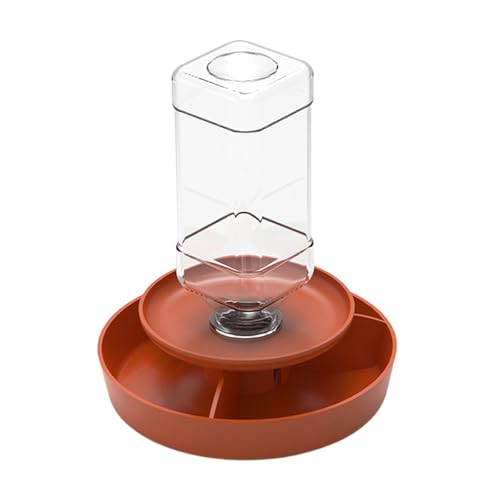 FytStycale Reptilien-Futterautomat, Trinknapf für Schildkröten, Futter- und Wasserbehälter für Eidechsen, Orange L von FytStycale