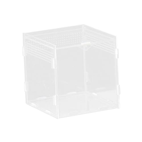 FytStycale Reptilienzuchtbox Terrarium Gehege Brutbehälter Schildkrötenbehälter Aus Acryl Wasserdicht Versiegelt für Die Haltung Und Den Transport von Amphibien, 10x10x10cm FytStycale Reptilienzuchtbox Terrarium Gehege Brutbehälter Schildkrötenbehälter Aus Acryl Wasserdicht Versiegelt für Die Haltung Und Den Transport von Amphibien, 10x10x10cm von FytStycale