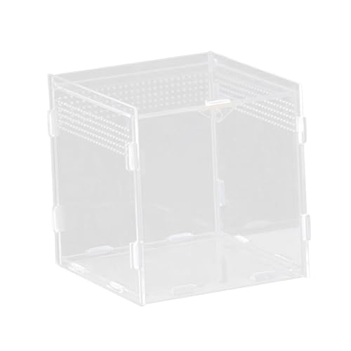 FytStycale Reptilienzuchtbox Terrarium Gehege Brutbehälter Schildkrötenbehälter Aus Acryl Wasserdicht Versiegelt für Die Haltung Und Den Transport von Amphibien, 15x15x15cm FytStycale Reptilienzuchtbox Terrarium Gehege Brutbehälter Schildkrötenbehälter Aus Acryl Wasserdicht Versiegelt für Die Haltung Und Den Transport von Amphibien, 15x15x15cm von FytStycale