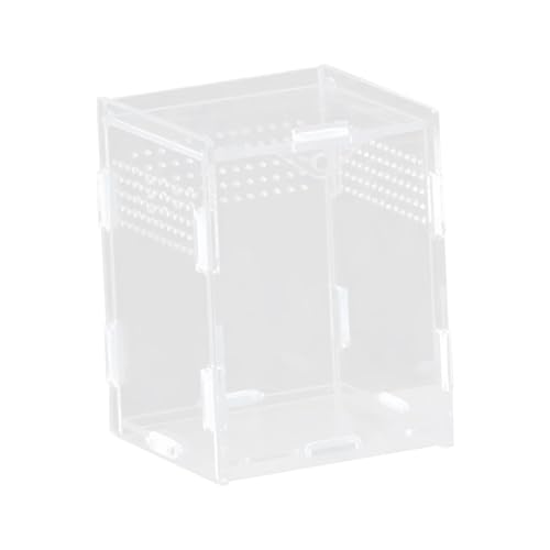 FytStycale Reptilienzuchtbox Terrarium Gehege Brutbehälter Schildkrötenbehälter Aus Acryl Wasserdicht Versiegelt für Die Haltung Und Den Transport von Amphibien, 8x7x10cm FytStycale Reptilienzuchtbox Terrarium Gehege Brutbehälter Schildkrötenbehälter Aus Acryl Wasserdicht Versiegelt für Die Haltung Und Den Transport von Amphibien, 8x7x10cm von FytStycale