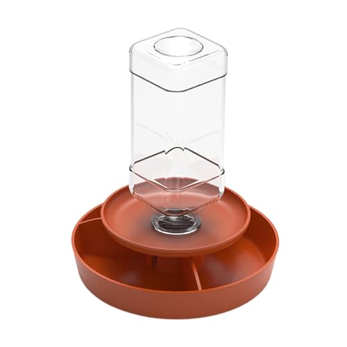 Fzaqwen Reptilien Futterbehälter Und Aquarium Zubehör Terrarium Platte Reptilienfutternapf Schüssel Amphibien Futternapf für, Orange L Fzaqwen Reptilien Futterbehälter Und Aquarium Zubehör Terrarium Platte Reptilienfutternapf Schüssel Amphibien Futternapf für, Orange L von Fzaqwen