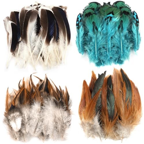 Fzyisw 200 Stück 4 Stil Federn zum Basteln, Natur Feder, Osterdeko Bastelfedern, Federn Deko, Fasanfedern für Bastelprojekte Traumfänger DIY Ohrringe Faschingskostüme Party-Masken Ostereier Deko von Fzyisw