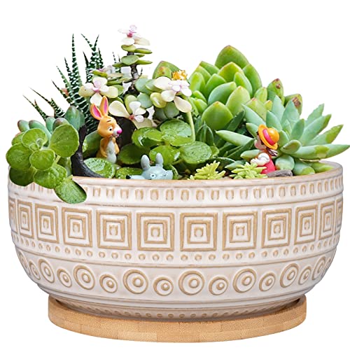 G EPGardening 20,3 cm Keramik-Sukkulenten-Übertopf, rund, flach, Bonsai-Übertopf für Zimmerpflanzen mit Drainage und Bambus-Untersetzer, Weiß von G EPGardening