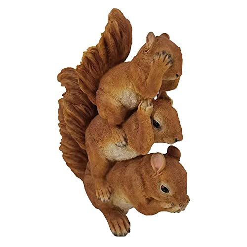 Garten- und Heimdekor, realistische 30.5 cm, Eichhörnchen, Polyresin, handbemalte Figur, aufwendige Details, frost- und lichtbeständig, Tier-Rasen-Ornament (rot) von G&H Decor