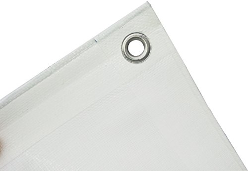 G.F. Abdeckplane Top Line 260g/m² weiß, 2m x 3m = 6m², UV-Stabil, wasserdicht, reißfest, mit Metallösen, für Boot, Auto, Holz, Gartenmöbel & mehr von G.F.