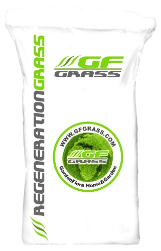 30kg Rasensamen schnellkeimend Frühjahr, Grassamen für Neuansaat und Nachsaat, schnell wachsender Rasen, Rasensaat ideal gegen Lücken, ausreichend für ca. 1050-1200m² von G.F. Grass