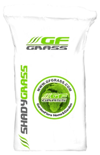 Rasensamen GF Shady Grass 1kg Schattenrasen Grassamen Rasensaat Saatgut Rasensaatgut Rasen Gras von G.F. Grass