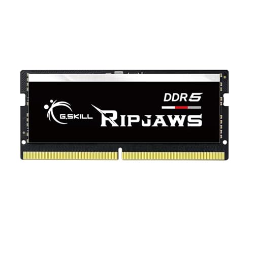 G.Skill Ripjaws F5-4800S3434A16GX1-RS Speichermodul 16 GB 1 x 16 GB DDR5 4800 MHz von G.SKILL