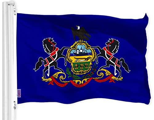 G128 Pennsylvania State Flag 3x5 ft Printed messingösen 150d Polyester qualität Flagge innen/außen - viel Dicker und haltbarer als 100d und 75d Polyester von G128