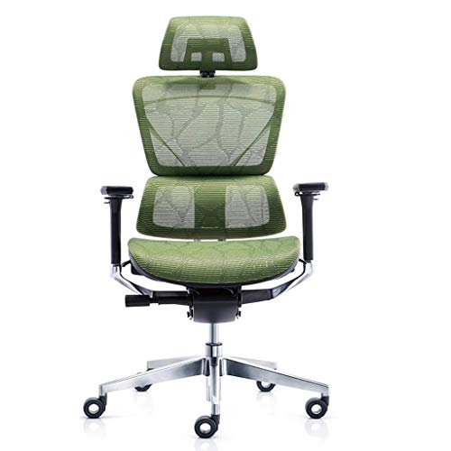 GAAHRQQQ Ergonomischer Stuhl, doppelte Rückenlehne, Taillenstütze für Zuhause, bequemer Computerstuhl, Bürostuhl, Chefsstuhl, E-Sport, Spielnetzstuhl (Farbe: Schwarz) von GAAHRQQQ