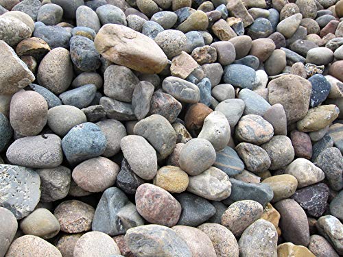 GABIONA - Gabionen Steine - 500 kg Nordseekiesel Ø 60-80 mm - Zum Befüllen für Gabionen mit Maschenweite bis 5 x 10 cm GABIONA - Gabionen Steine - 500 kg Nordseekiesel Ø 60-80 mm - Zum Befüllen für Gabionen mit Maschenweite bis 5 x 10 cm von GABIONA