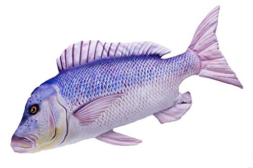 GABY Fish Pillows Arktischer Regenbogenfisch Mini Kissen, Mehrfarbig von GABY Fish Pillows