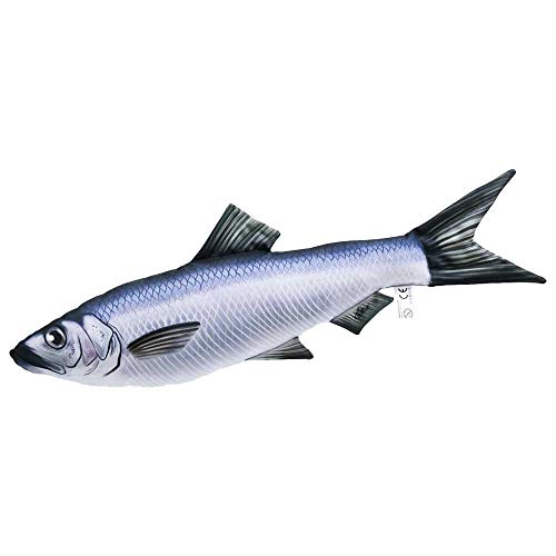 GABY Fish Pillows Clupeiformes (Hering/Sardine) Kissen, Mehrfarbig, Medium von GABY Fish Pillows