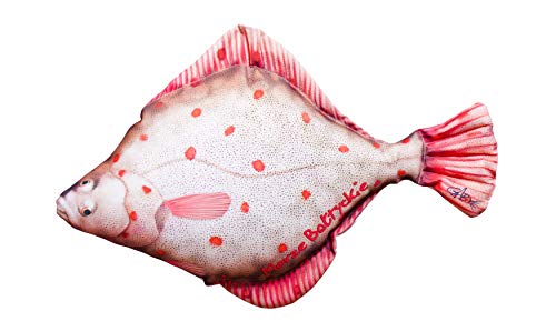 GABY Fish Pillows Flunder Kissen, Polyester, Mehrfarbig, Medium von GABY Fish Pillows