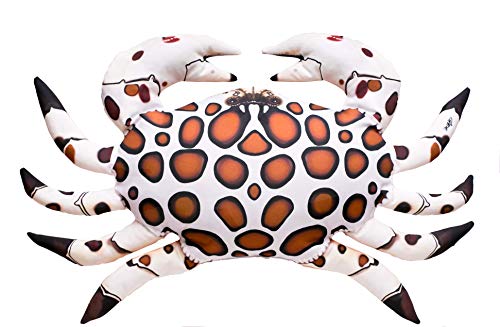 GABY Fish Pillows Kaliko-Krabbe Kissen, Mehrfarbig, Medium von GABY Fish Pillows