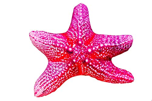 GABY Fish Pillows Seestern Kissen, Mehrfarbig, Medium von GABY Fish Pillows