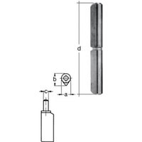 Profilrolle Band-L.60mm STA blk Stift-Ø 6mm GAH von GAH Alberts