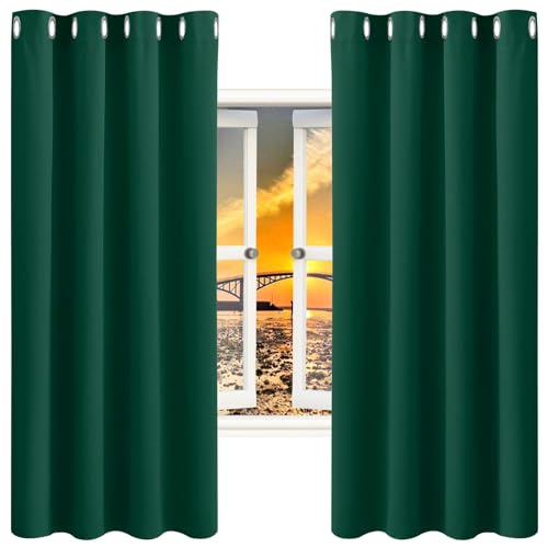 GAIFNAG Gardinen Blickdichte Vorhänge 150 x 220 cm Wärmeisolierend, Vielen Farben Und Ausführungen Thermogardine mit Ösen Schlafzimmer für Fenster, Zuhause, Terrasse, Dunkelgrün von GAIFNAG