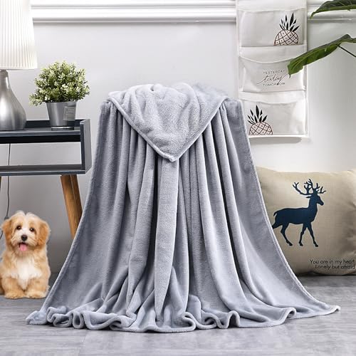 GAIFNAG Kuscheldecke Flauschig Decke Fleecedecke 150 x 300 cm Extra Weich, Warme Gemütliche, Pflegeleichte Überwurf für Bett Und Couch für Tiefen Schlaf Und Bessere Erholung, Hellgrau von GAIFNAG