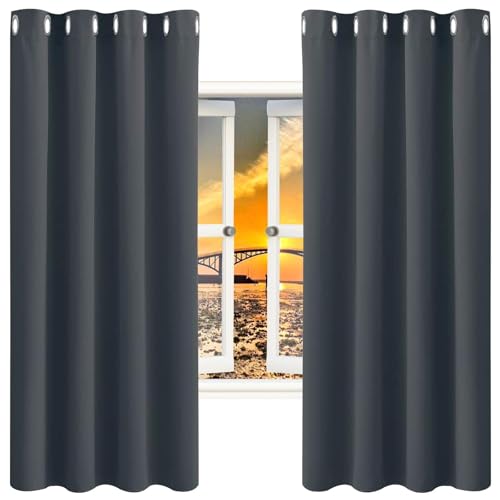 GAIFNAG Thermovorhang Wohnzimmer Gardinen 80 x 50 cm Wärmeisolierend, Vielen Farben Und Ausführungen Voile Gardinen Vorhang für Hotels Büros Wohnzimmer, Dunkelgrau von GAIFNAG