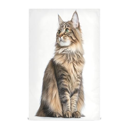 GAIREG Süße Maine Coon Katzentücher für Geschirr, 71,1 x 45,7 cm, Strand-Geschirrtücher GAIREG Süße Maine Coon Katzentücher für Geschirr, 71,1 x 45,7 cm, Strand-Geschirrtücher von GAIREG