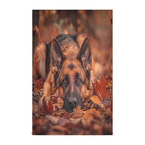 Geschirrtücher mit süßem Schäferhund, 71,1 x 45,7 cm, saugfähig, bedruckt, 4 Stück Geschirrtücher mit süßem Schäferhund, 71,1 x 45,7 cm, saugfähig, bedruckt, 4 Stück von GAIREG