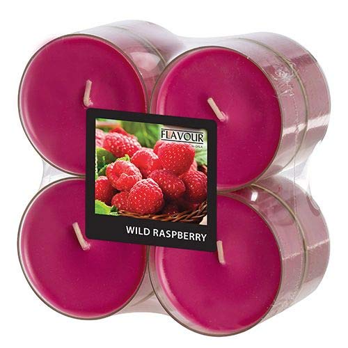 GALA "Flavour by Maxi Duftlichte Ø 59 mm, 24 mm weinrot - Wild Raspberry in Polycarbonathülle 96995 Duftkerzen Riesen-Teelichte, 48 Stück von GALA