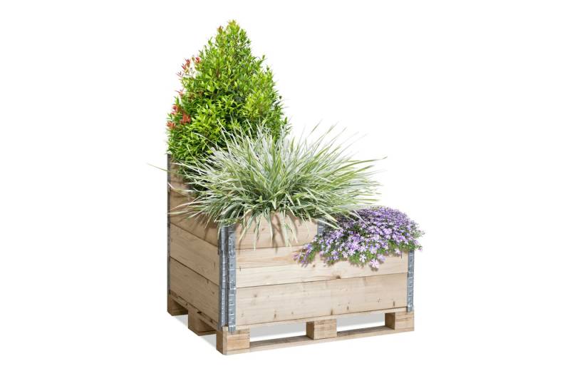 GALAMIO Hochbeet Gartenparadies (Palette, 1 St) von GALAMIO