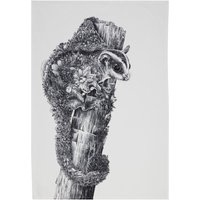 Maxwell & Williams Marini Ferlazzo Küchentuch de Küchentuch mit Design de Petauro de Zucker de 100% Baumwolle, 50 x 70 cm - White von GALOZZOIT