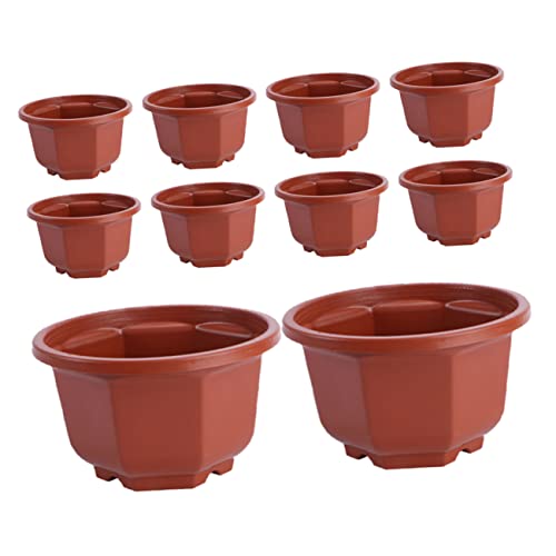 GALPADA 10 Stück Octogonaler Blumentopf Kunststoff mit Abflussloch Kleiner Pflanztopf für Zimmerpflanzen Sukkulenten und Hängepflanzen Geeignet für Fensterbank Büro und Balkon Braun von GALPADA