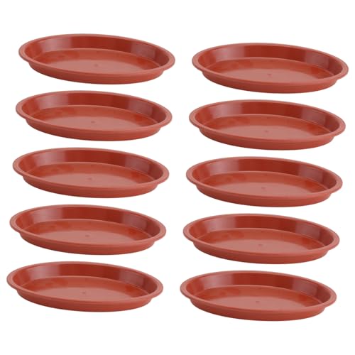 GALPADA 10 Stück Teiliges Ovale Bonsai Pflanztrays aus Dickem Kunststoff in Terrakotta Stabile Blumentopf Untersetzer für Innen und Außen Praktisch zum Schutz von Böden und Möbeln GALPADA 10 Stück Teiliges Ovale Bonsai Pflanztrays aus Dickem Kunststoff in Terrakotta Stabile Blumentopf Untersetzer für Innen und Außen Praktisch zum Schutz von Böden und Möbeln von GALPADA