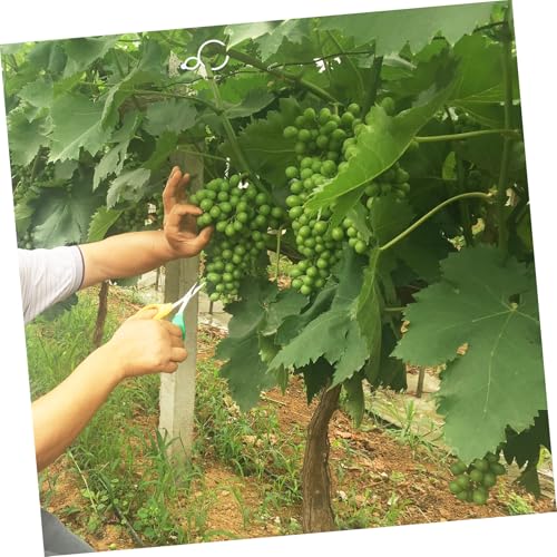 GALPADA 100 Stück Wiederverwendbare Pflanzenclips Kleine Weiße Gartenklammern aus Robustem Kunststoff für Tomaten Kletterpflanzen Rankhilfe und Pflanzenstielbefestigung für Gewächshaus von GALPADA