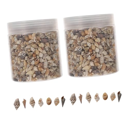 GALPADA 2 Boxen Natürliche Meeresschnecken Füller Boxen Epoxidharz DIY Basteln Muscheln Deko für Schmuck Bilderrahmen Aquarium Handwerk von GALPADA