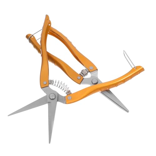 GALPADA 2 Stück Gartenschere Teiliges Edelstahl Robust Leicht für Gartenarbeit Baumschnitt Obstbäume Sträucher Heckenschnitt Gartenschere Rostfrei Langlebig Ergonomisch GALPADA 2 Stück Gartenschere Teiliges Edelstahl Robust Leicht für Gartenarbeit Baumschnitt Obstbäume Sträucher Heckenschnitt Gartenschere Rostfrei Langlebig Ergonomisch von GALPADA