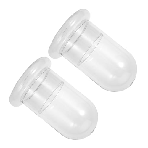 GALPADA 2 Stück Landschafts Glasflasche aus Langlebigem Borosilikatglas mit Öffnung DIY Terrarium für Moos Ökosysteme Dekorative Glasflaschen für Zuhause Büro Geschenkideen GALPADA 2 Stück Landschafts Glasflasche aus Langlebigem Borosilikatglas mit Öffnung DIY Terrarium für Moos Ökosysteme Dekorative Glasflaschen für Zuhause Büro Geschenkideen von GALPADA