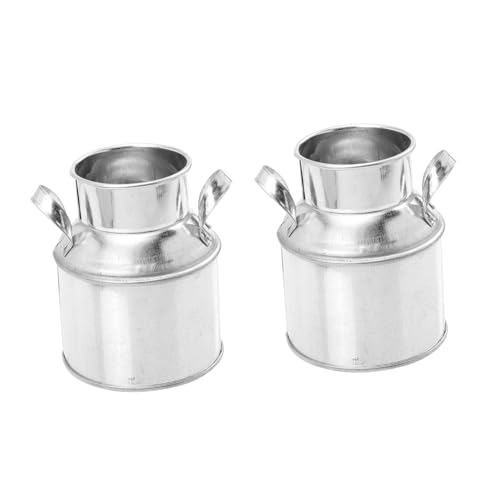 GALPADA 2 Stück Vintage Mini Blumentöpfe aus Galvanisiertem Eisen Kleine Pflanzkübel für Zimmerpflanzen Robuste Übertopf Deko im Retro Stil für Kreative Garten und Wohnraumgestaltung von GALPADA