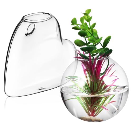 GALPADA 2 Stück Wandvase Hochborosilikat Terrarium Pflanzenhalter Transparent mit Montagezubehör für Hydroponik und Wanddeko Wohnzimmer Schlafzimmer Badezimmer von GALPADA