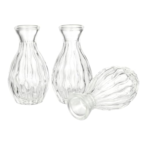 GALPADA 3 Stück Aromatherapie Diffuser Flaschen Weithals Duftöl Behälter Transparent Nachfüllbar Multifunktional als Vase und Raumduftspender GALPADA 3 Stück Aromatherapie Diffuser Flaschen Weithals Duftöl Behälter Transparent Nachfüllbar Multifunktional als Vase und Raumduftspender von GALPADA