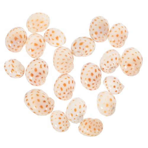 GALPADA 40 Stück Teiliges Natürliche Conch und Crab Shells Dekorative Meeresmuscheln für Aquarium Gartenteich und DIY Bastelprojekte Glatte Kanten Vielseitig für Landschaftsbau und von GALPADA
