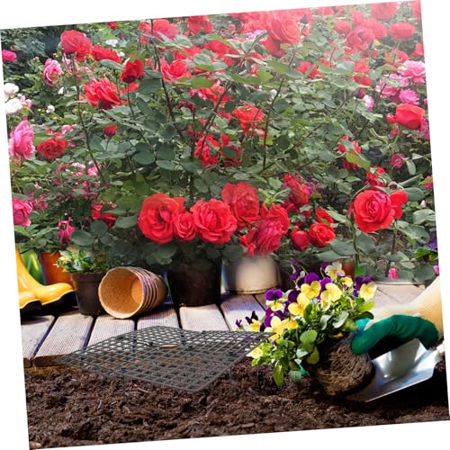GALPADA Blumentopf Schutzgitter Pflanzenschutz Abdeckung Mittelgroß Schwarz Stabiler Wurzelschutz gegen Katzen und Hunde Verhindert Erdgraben und Schützt Pflanzen im Garten Dekorative GALPADA Blumentopf Schutzgitter Pflanzenschutz Abdeckung Mittelgroß Schwarz Stabiler Wurzelschutz gegen Katzen und Hunde Verhindert Erdgraben und Schützt Pflanzen im Garten Dekorative von GALPADA