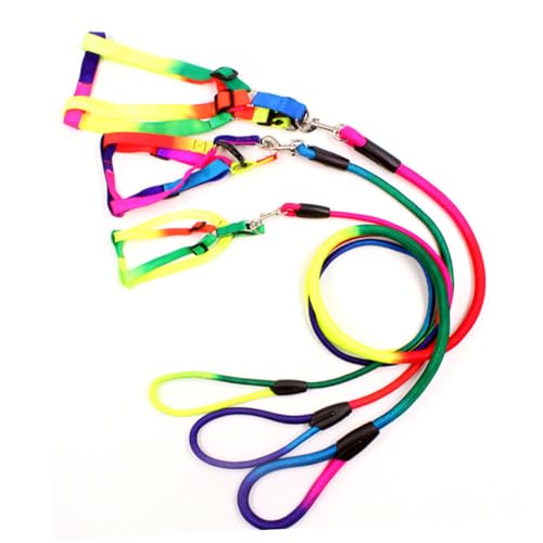 GALPADA Bunte Verstellbare Hundeleine aus Strapazierfähigem Nylon für Kleine Hunde Modische Traction Rope mit Brustgurt Komfortables Geschirr für Aktives Gassigehen von GALPADA