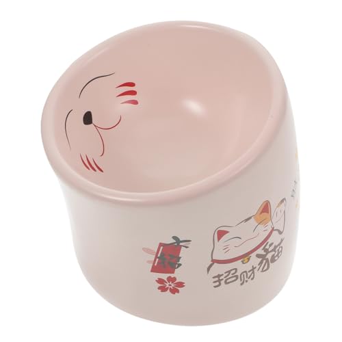 GALPADA Erhöhter Keramik Katze mit Rutschfestem Schutz Bruchsicher Große Kapazität Leicht zu Reinigen für Kätzchen und Kleine Hunde um Verschütten zu Verhindern GALPADA Erhöhter Keramik Katze mit Rutschfestem Schutz Bruchsicher Große Kapazität Leicht zu Reinigen für Kätzchen und Kleine Hunde um Verschütten zu Verhindern von GALPADA