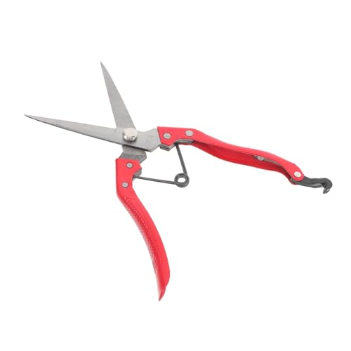 GALPADA Farm Schafschneider Carbonstahl Ergonomische Handwerkzeuge für Schaf und Tierhaarschnitt Langlebige und Komfortable Schafschere für Effizientes Scheren und Trimmen GALPADA Farm Schafschneider Carbonstahl Ergonomische Handwerkzeuge für Schaf und Tierhaarschnitt Langlebige und Komfortable Schafschere für Effizientes Scheren und Trimmen von GALPADA
