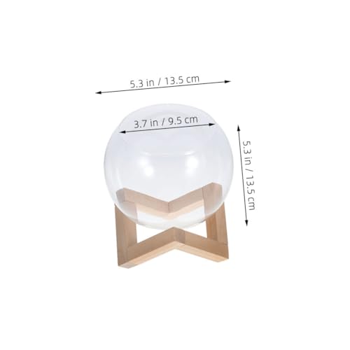 GALPADA Glas Terrarium mit Holzständer Desktop Pflanzgefäß für Hydrokultur Einfach zu Pflegende Hydroponik Vase Dekoratives für Zimmerpflanzen Stilvolle Büro Wohnraumdekoration GALPADA Glas Terrarium mit Holzständer Desktop Pflanzgefäß für Hydrokultur Einfach zu Pflegende Hydroponik Vase Dekoratives für Zimmerpflanzen Stilvolle Büro Wohnraumdekoration von GALPADA